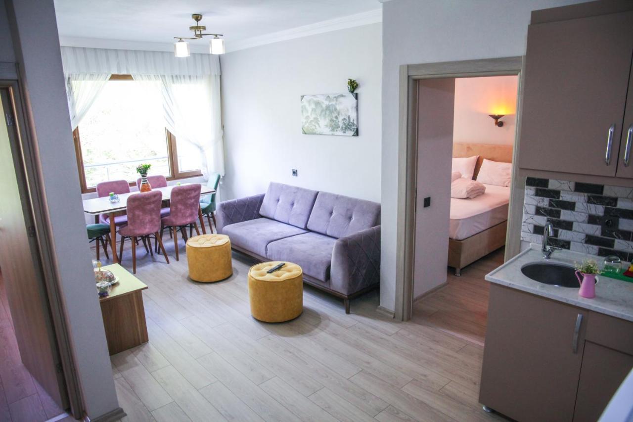 Elegant Residence Çamlıhemşin エクステリア 写真