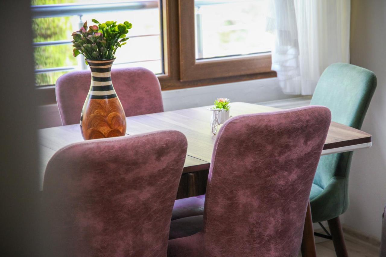 Elegant Residence Çamlıhemşin エクステリア 写真