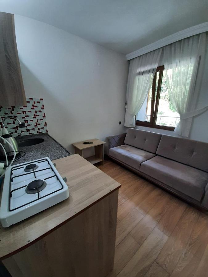 Elegant Residence Çamlıhemşin エクステリア 写真
